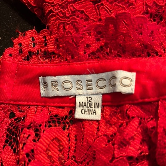 Elegant Red Lace Mini Dress - Picture 10 of 11